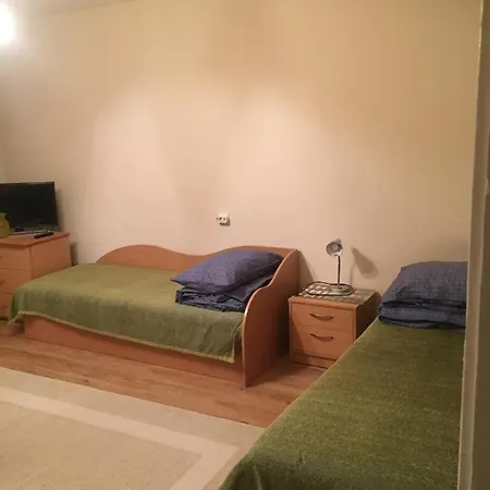 Jaukus Bustas Netoli Saulio Skulpturos Druskieniki