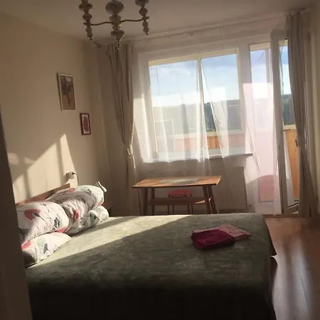 Jaukus Bustas Netoli Saulio Skulpturos * Druskieniki