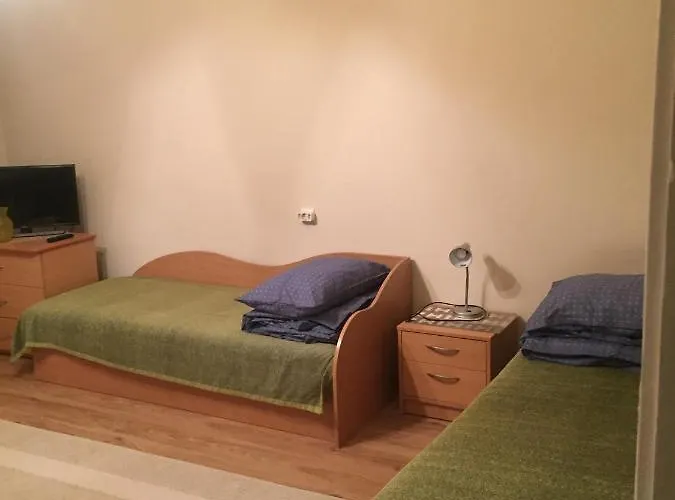 Jaukus Bustas Netoli Saulio Skulpturos Druskieniki