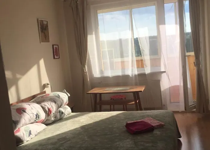 Jaukus Bustas Netoli Saulio Skulpturos * Druskieniki