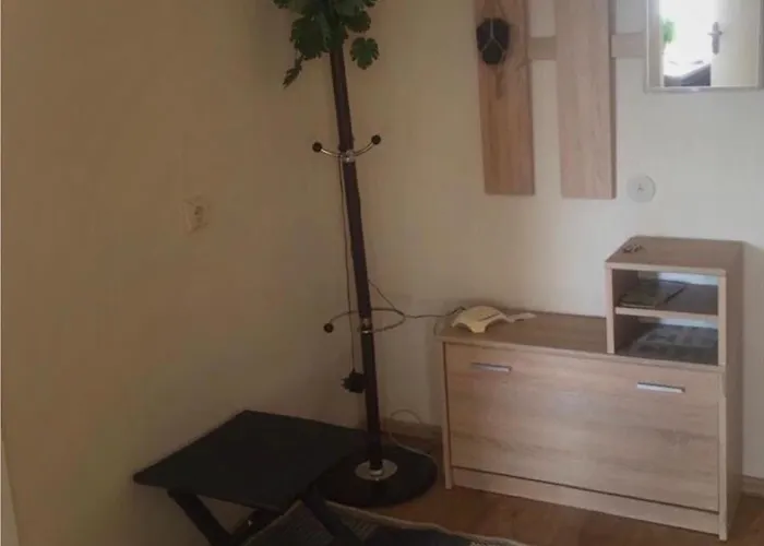 Jaukus Bustas Netoli Saulio Skulpturos